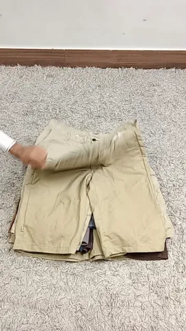 DICKIES COTTON SHORTS & CARGO SHORTS - 17 PCS