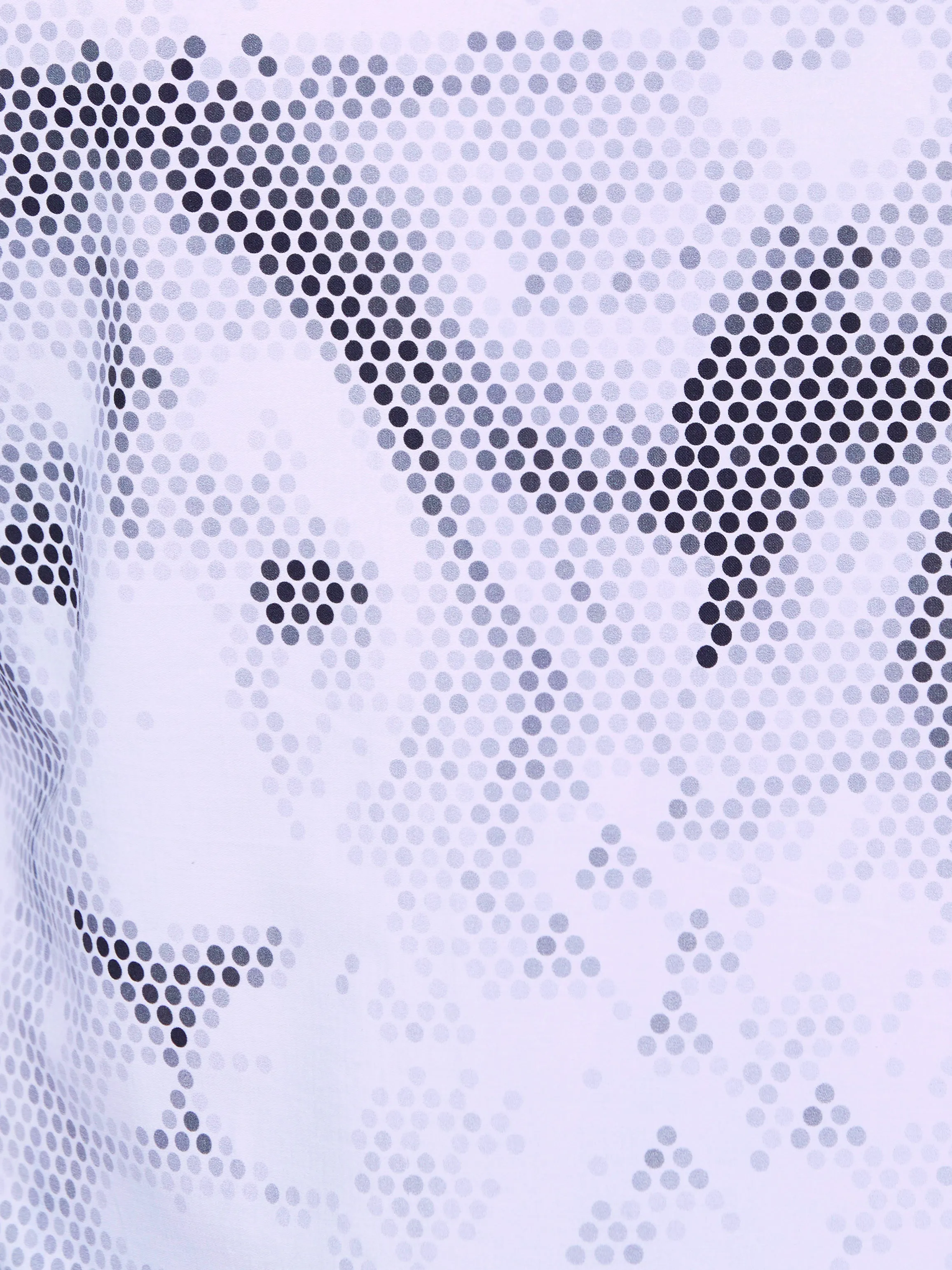 Fibonacci LionDot White