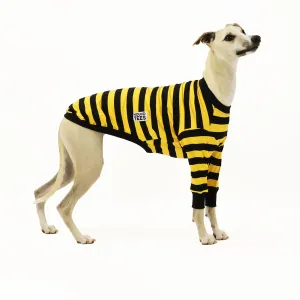 Odlaw Whippet Long Sleeve Hound-Tee