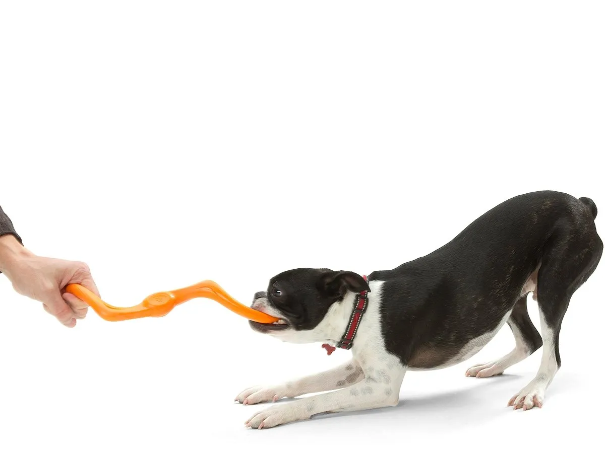 West Paw Bumi Tug Toy